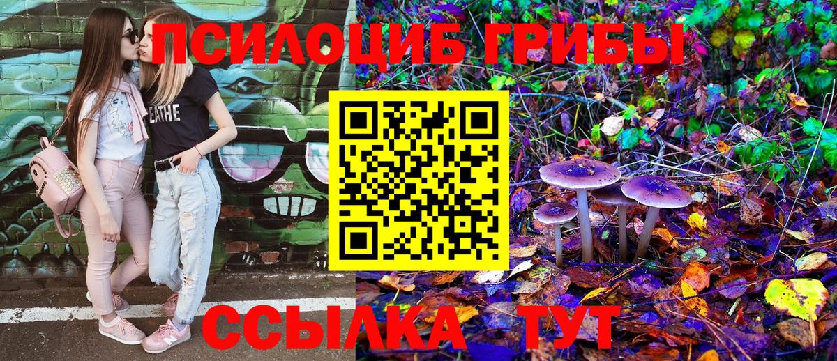 Псилоцибиновые грибы Cubensis Абакан