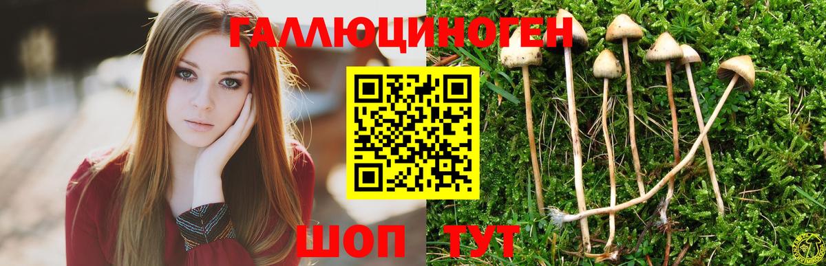 наркошоп  Галлюциногенные грибы ЛСД  Вход с VPN  Абакан 